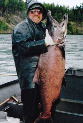 Alaska king salmon